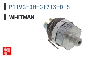P119G-3H-C12TS-DIS ͼƬ